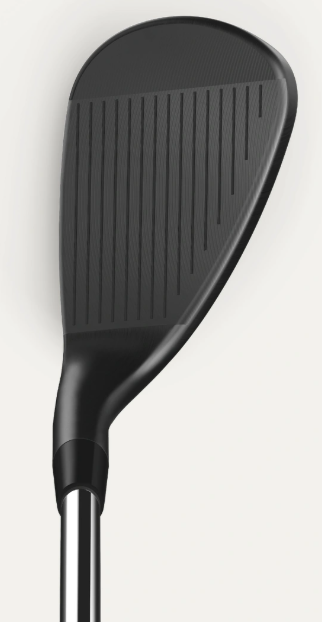 Wilson Infinite Wedge