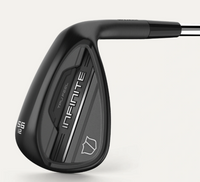 Wilson Infinite Wedge